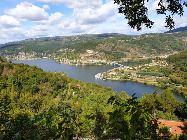 istock River Douro surrounded by lush foliage and vineyards 1350046563