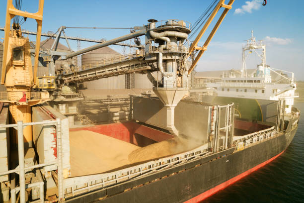 verladen von getreide in die laderäume des seefrachtschiffs durch eine automatische linie im seehafen aus silos des getreidelagers. bunkern von trockenfrachtschiffen mit getreide - getreide stock-fotos und bilder