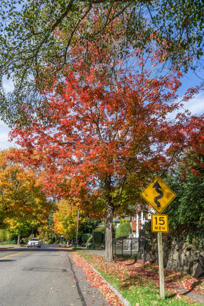 istock Fall Burien Street 5 1350047030