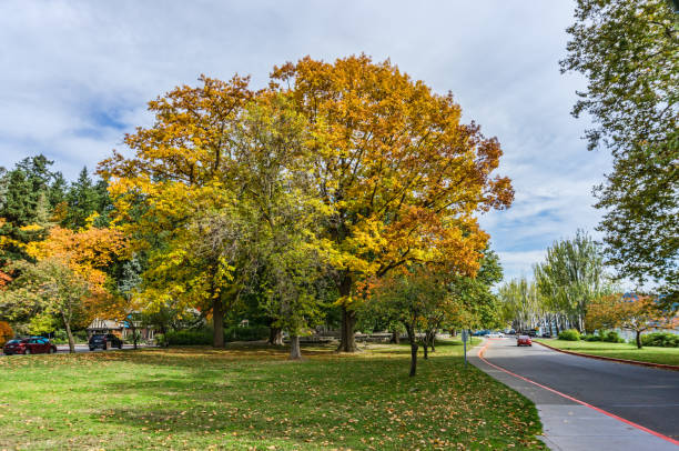 istock Colorful Autumn Seward Park 1350047106
