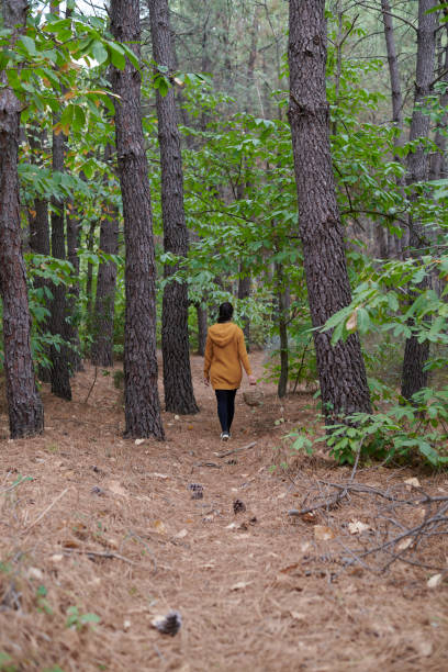 istock Woman in the woods 1350059591