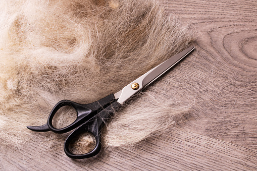 Pile of dog fur and scissors on wooden background close up