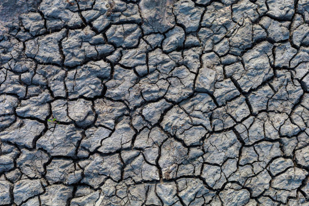 istock Cracked rough texture of drying soil after flooding 1350064467