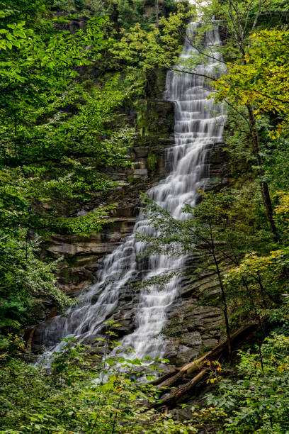 istock Pratt Falls In New York State 1350066797