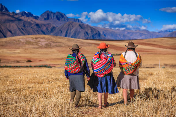 peruvian women in national clothing crossing field, the sacred valley - native habitat imagens e fotografias de stock