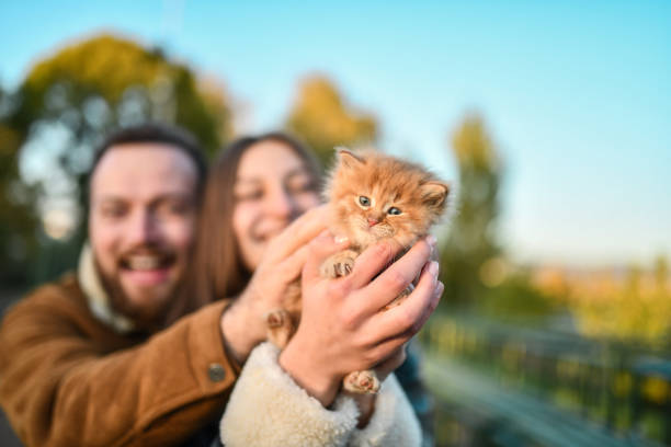 istock Cute Couple Finding And Adopting Stray Kitten Outside 1350067927