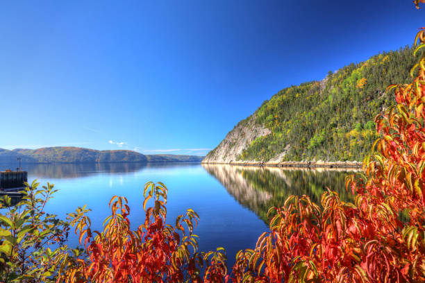 Majestic Saguenay River Fjord at Fall Saguenay River Fjord with Beautiful Autumn Colors buzbuzzer stock pictures, royalty-free photos & images