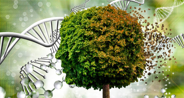 istock An abstract 3d-image of a tree that resembles a human head 1350073530