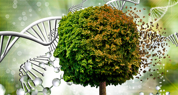An abstract image of a tree that resembles a human head, one part of which is green foliage, and the other part of the head is depicted as falling yellow autumn leaves. All this on an abstract background with stylized images of the DNA molecule
