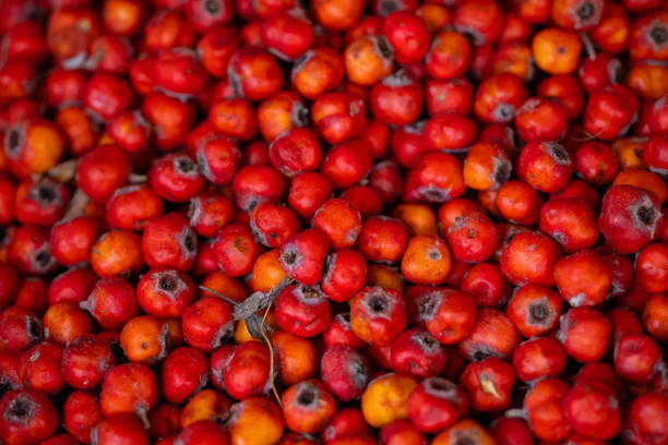 fresh hawthorns in the market