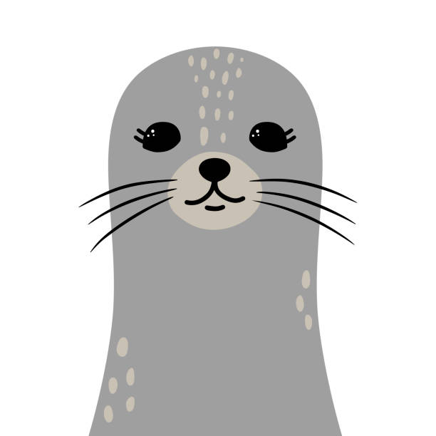 Cute little seal. Vector illustration, isolated on a white background. Scandinavian cartoon style flat design. Concept for children print. seal animal stock illustrations