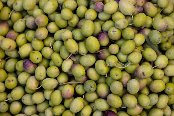 istock fresh olives in the market 1350076519