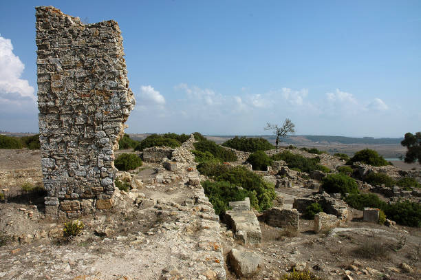 istock The archaeological site of Lixus in Morocco 1350079127
