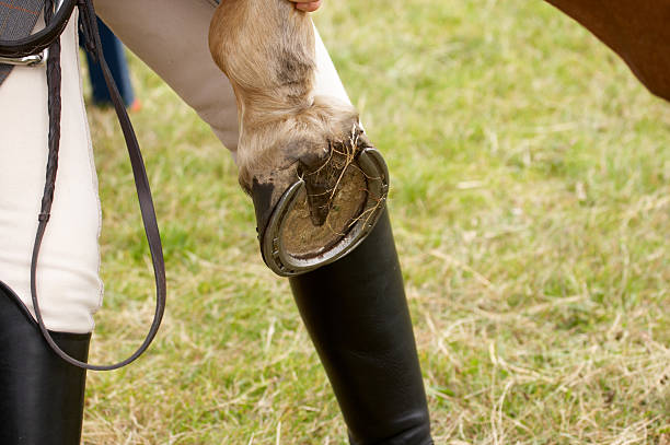 istock Rider examining horse shoe 135008079