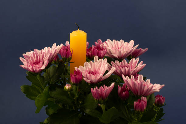 Composition of flowers and candle for all souls day. Also suitable for funeral, mourning, grief. Composition of flowers and candle for all souls day. Also suitable for funeral, mourning, grief. Close up. pink memorial candle with flowers stock pictures, royalty-free photos & images