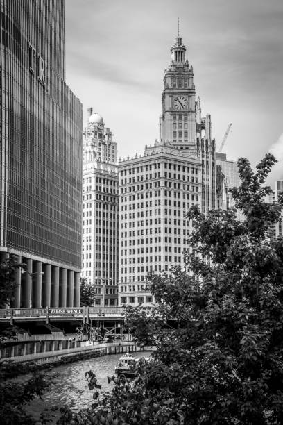 famoso edifício wrigleys em chicago - chicago black and white contemporary tower - fotografias e filmes do acervo