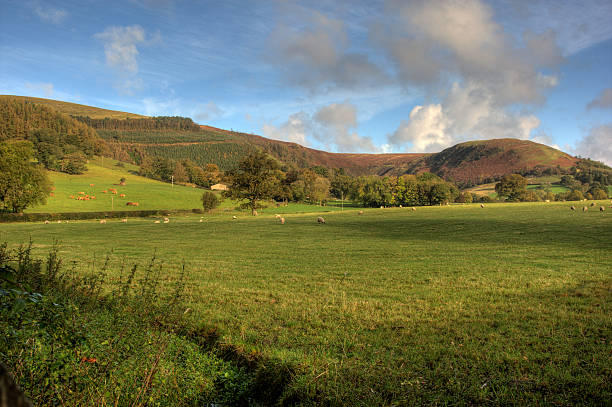 istock Farm field autumn colours blue sky 135008981
