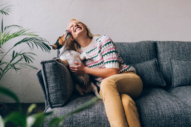 istock Happy Dog Licks Woman's Face at Home 1350092685