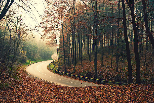 Dangerous street on an autumn morning in Austria.
