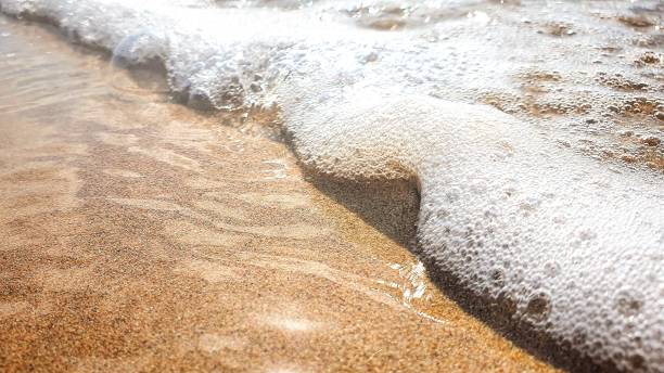 16,700+ Sea Foam Close Up Stock Photos, Pictures & Royalty-Free Images - iStock | Wave foam, White sand, Seafoam