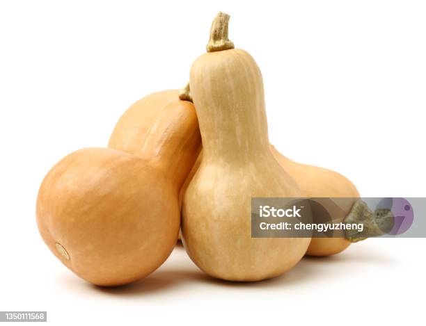 Butternut Squash Stock Photo - Download Image Now - Autumn, Butternut Squash, China - East Asia