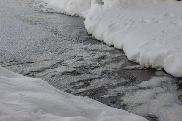 istock An unfrozen river in a winter forest. 1350113297