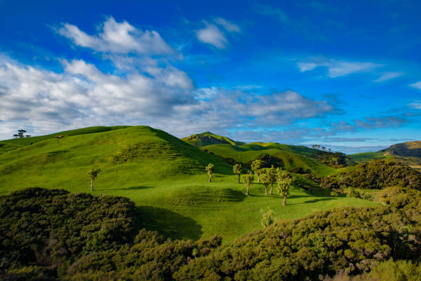 Green hill with blue sky, view of South Island, New Zealand stock photo