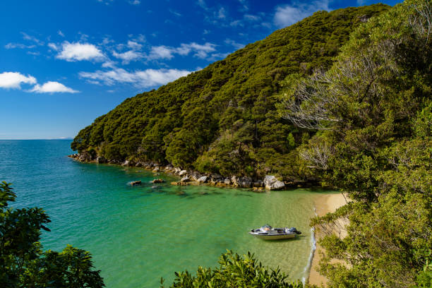 Abel Tasman National Park in South Island, New Zealand Abel Tasman National Park in South Island, New Zealand nelson city new zealand stock pictures, royalty-free photos & images