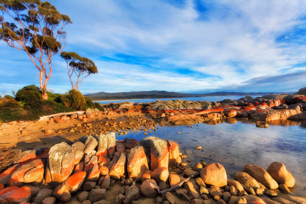 Tas Bay FIres Stones lit bay