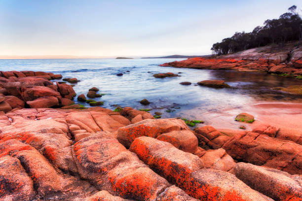 istock Tas Coles bay rocks beach 1350114999