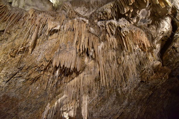 istock Mole Creek Limestone cave in Tasmania, Australia 1350116443