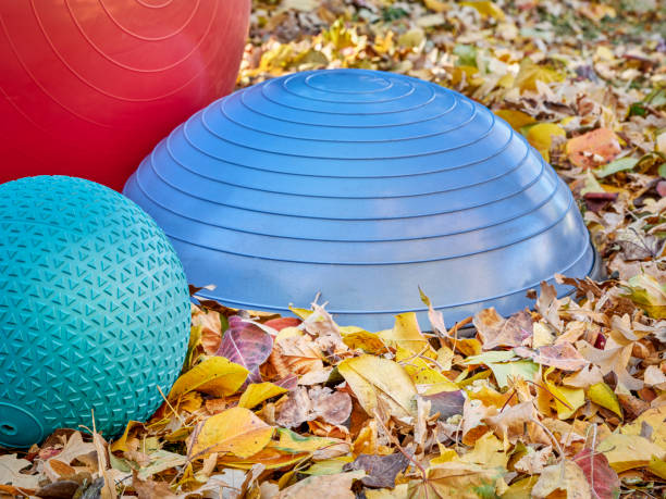 istock Balance training and slam balls in backyard 1350122351