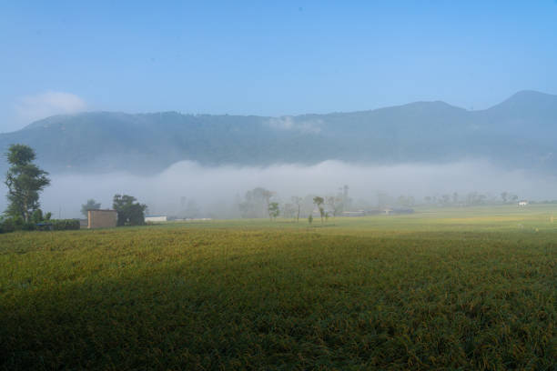 istock Early foggy morning 1350134275