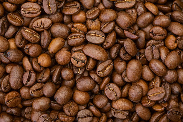 Coffee bean stock photo