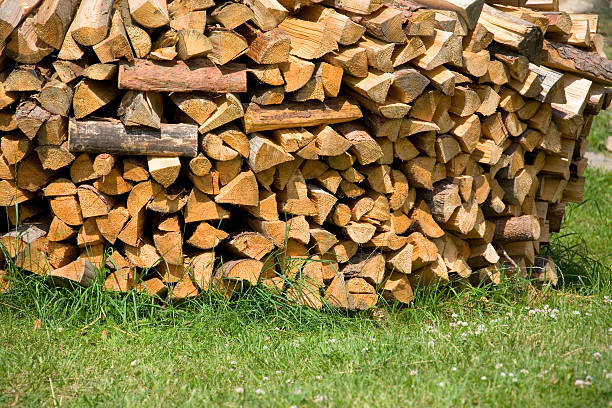 firewood stock photo