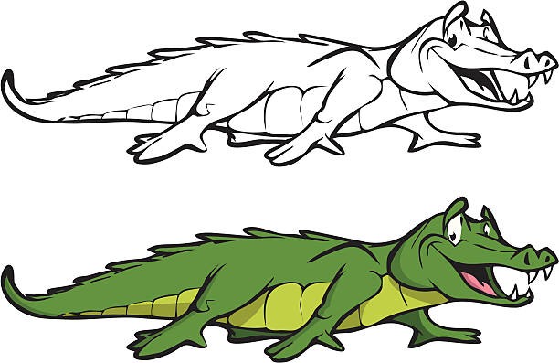 alligator livro de colorir - ilustração de arte em vetor