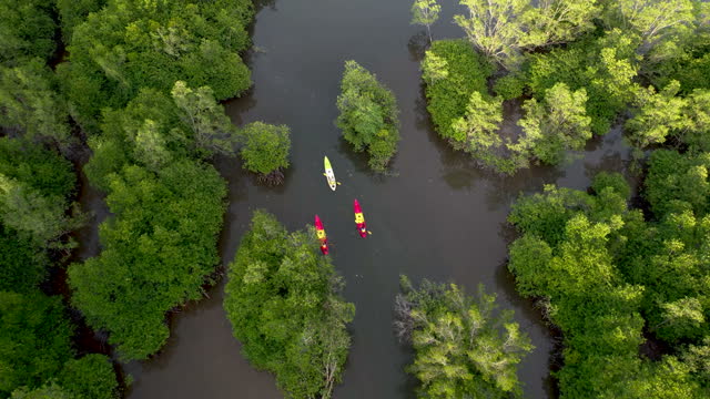 Aerial view of a kayak cruising through a river and Tropical forest with sunset sky reflection on water