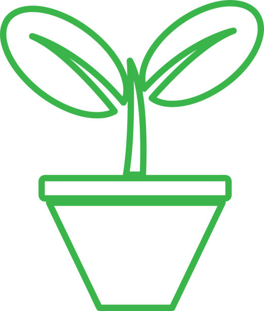 Plant tree icon concept sign design Plant tree icon concept sign design 2632 stock illustrations