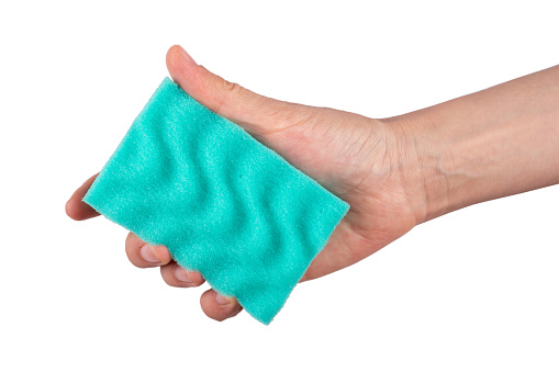Hand with holding a sponge, isolated on white background. Cleaning concept. File contains clipping path.