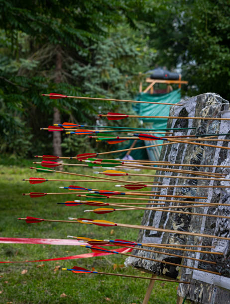 erfolgreiches konzept, alle goldenen pfeile aufs ziel, bogenschießen - target sport target target shooting bulls eye stock-fotos und bilder