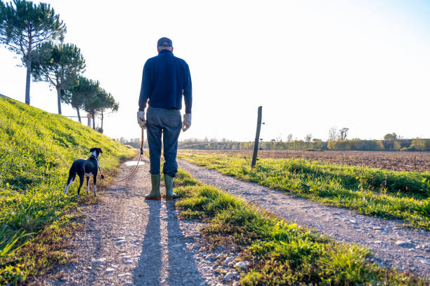 istock Farmer having a walk with his dog on the fields 1350171261