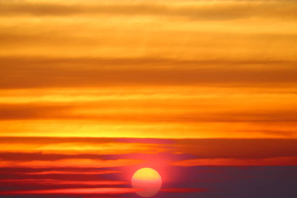 istock sunset red hot sky and silhouette tree and birds flying 1350173472