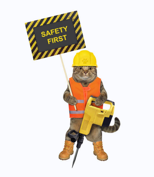 istock Cat holds jackhammer and poster 1350179932