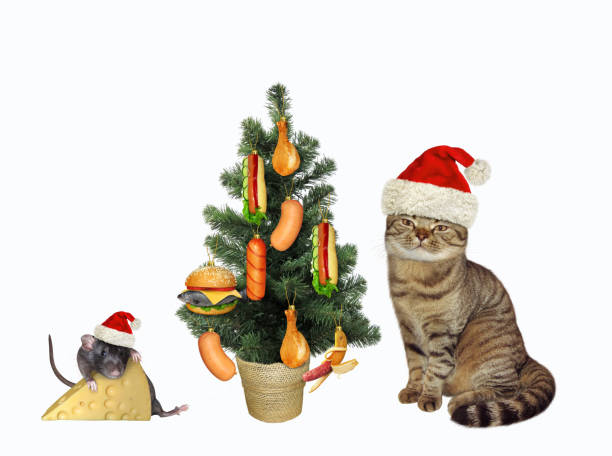 istock Cat decorates tree with delicious food 2 1350179934