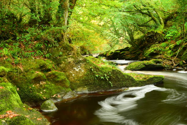istock Swirling water on Burntollet River with Autumn colours 1350183538