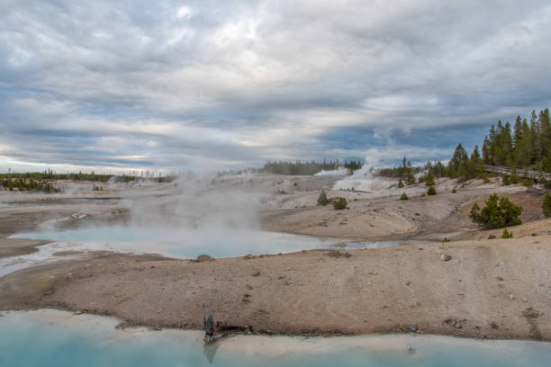 Steaming Mud Pod Area in famous Yellowstone National Park Steaming Mud Pod Area in famous Yellowstone National Park, USA mud volcano yellowstone stock pictures, royalty-free photos & images