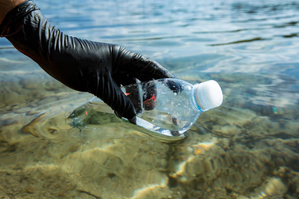 istock Hand in rubber glove picking up used plastic bottle floating in clear water. 1350185534