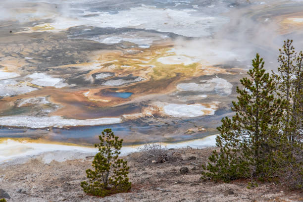 istock Steaming Mud Pod Area in famous Yellowstone National Park 1350185673
