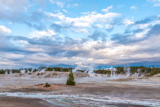 istock Steaming Mud Pod Area in famous Yellowstone National Park 1350185799