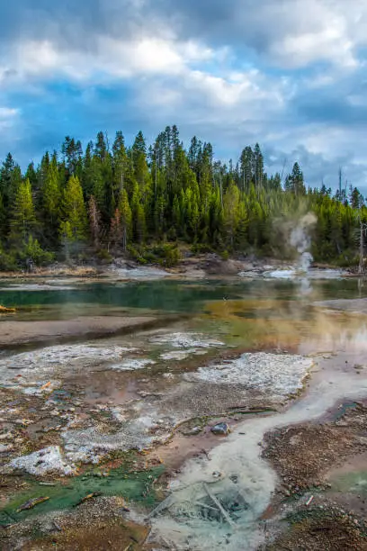 Photo of Steaming Mud Pod Area in famous Yellowstone National Park